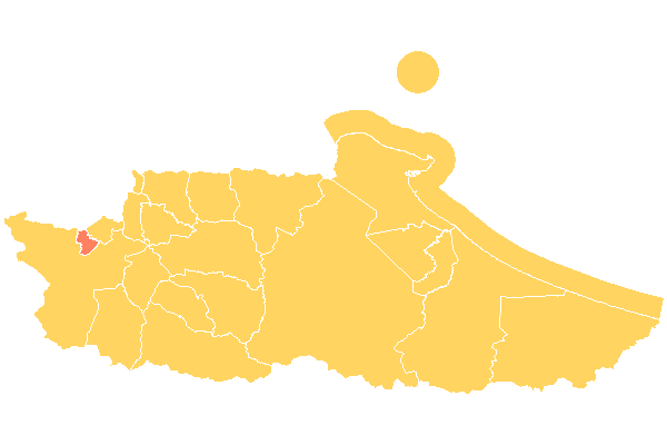 Municipio Carrizal