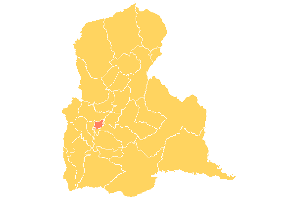 Municipio Guásimos